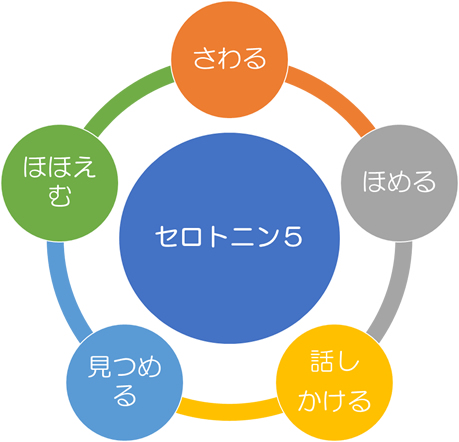セロトニン5